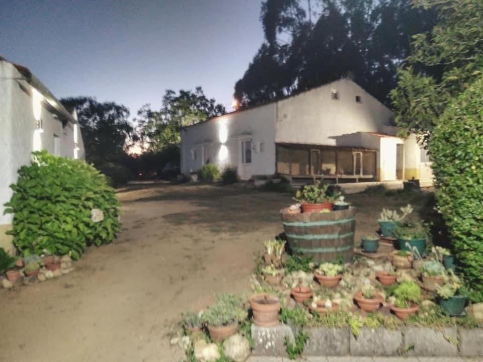 Villa Quinta Da Mesa Macinhata do Vouga Esterno foto