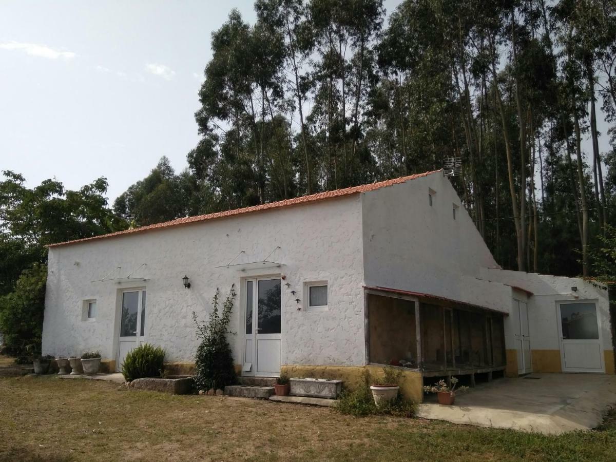 Villa Quinta Da Mesa Macinhata do Vouga Esterno foto